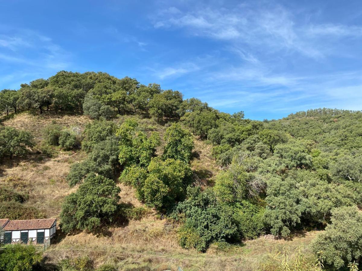 הוילה El Rincon De ארקנה מראה חיצוני תמונה