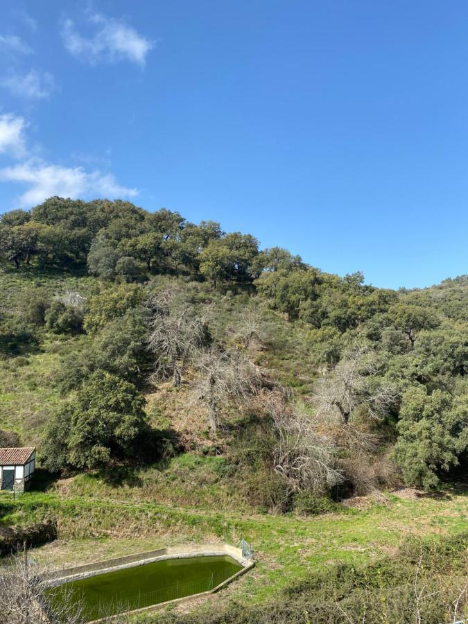 הוילה El Rincon De ארקנה מראה חיצוני תמונה