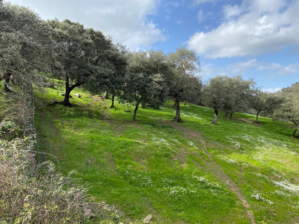 הוילה El Rincon De ארקנה מראה חיצוני תמונה