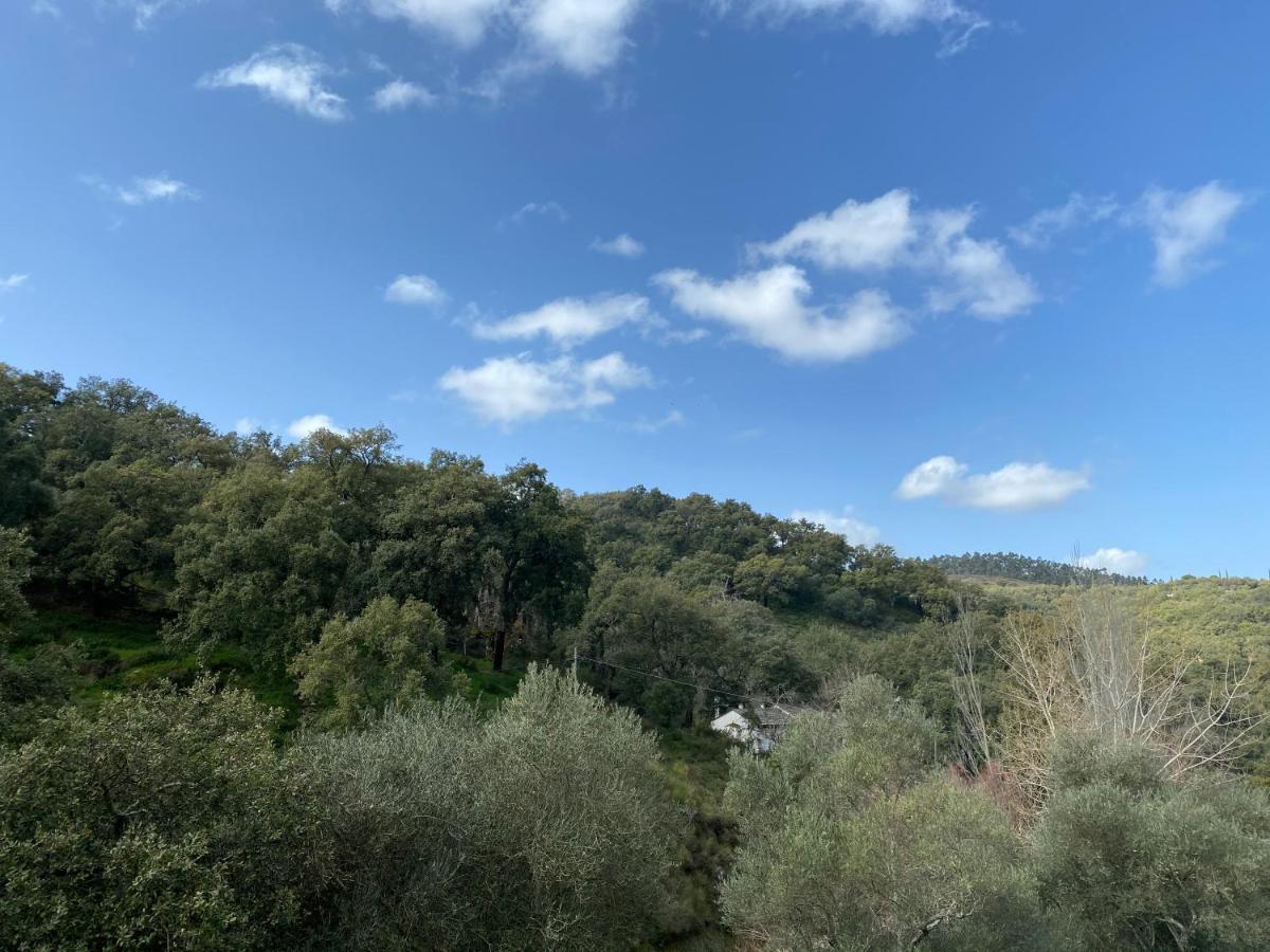 הוילה El Rincon De ארקנה מראה חיצוני תמונה
